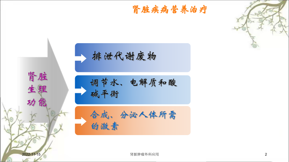 肾脏肿瘤外科应用课件.ppt_第2页