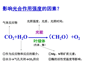 影响光合作用强度的因素分解课件.ppt