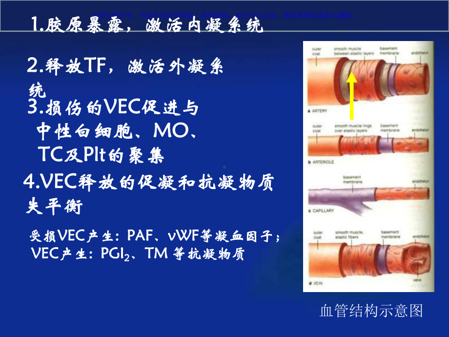 血栓和止血检验课件.ppt_第3页