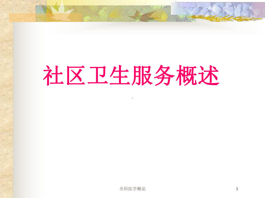 全科医学概论培训课件1.ppt_第3页