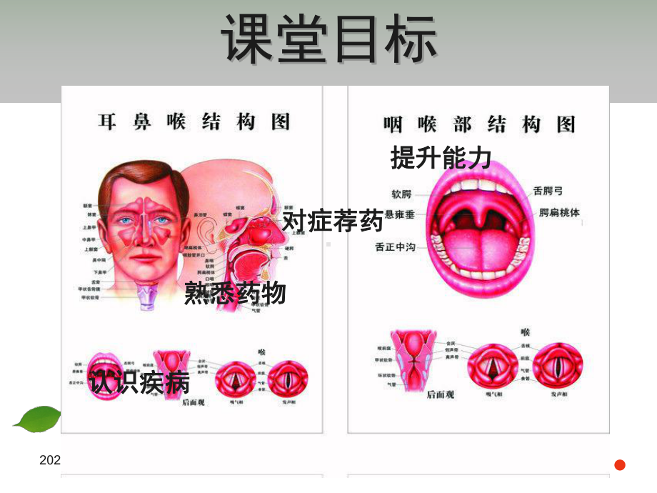 急性上呼吸道感染的用药指导课件.ppt_第3页