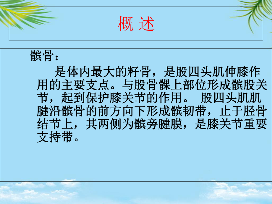 课件-髌骨骨折的护理.ppt_第2页