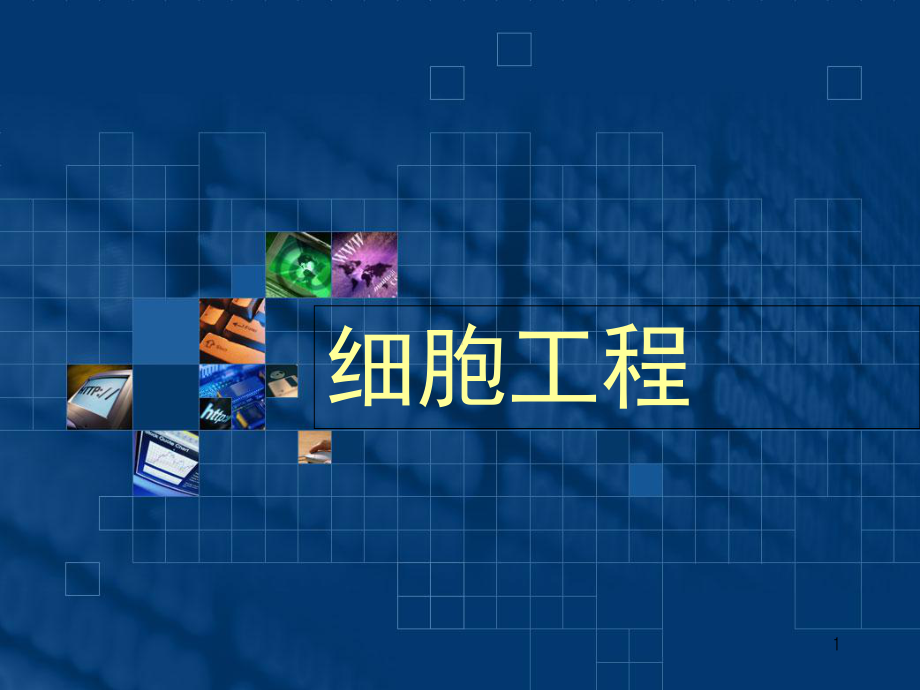 中药-细胞工程医学课件.ppt_第1页