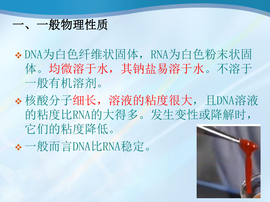 核酸的组成与理化性质课件.ppt_第3页