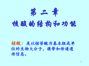 核酸的结构和功能课件.ppt