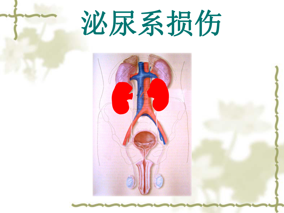 血尿病人的护理措施课件.ppt_第2页