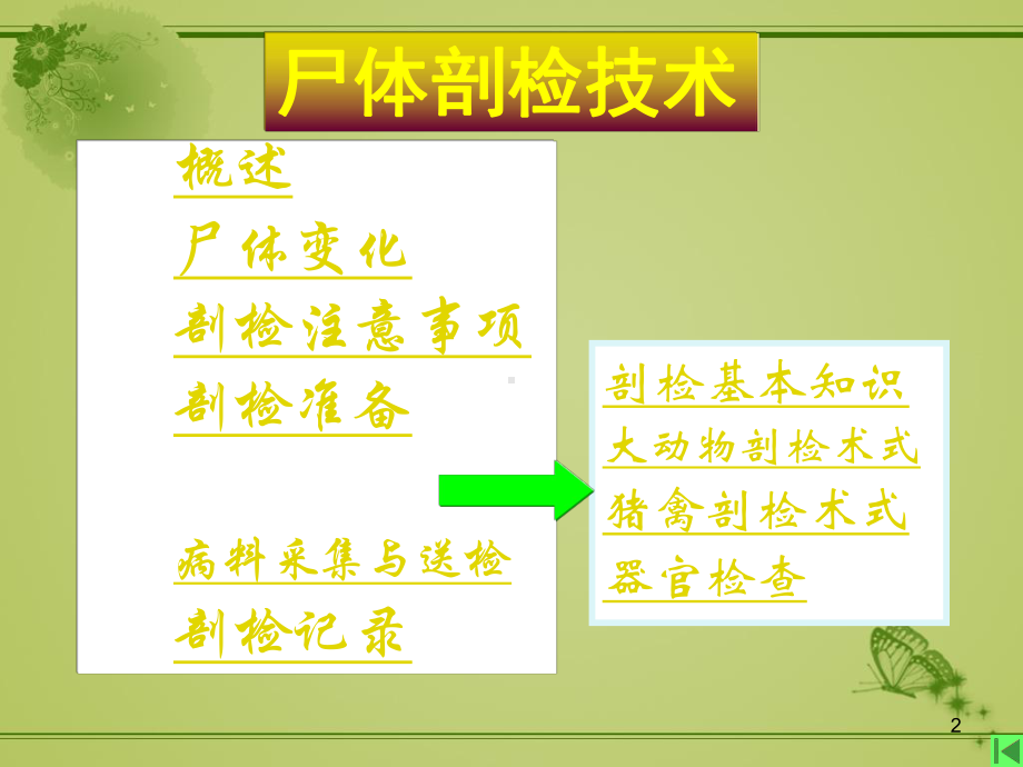 尸体剖检-课件.ppt_第2页