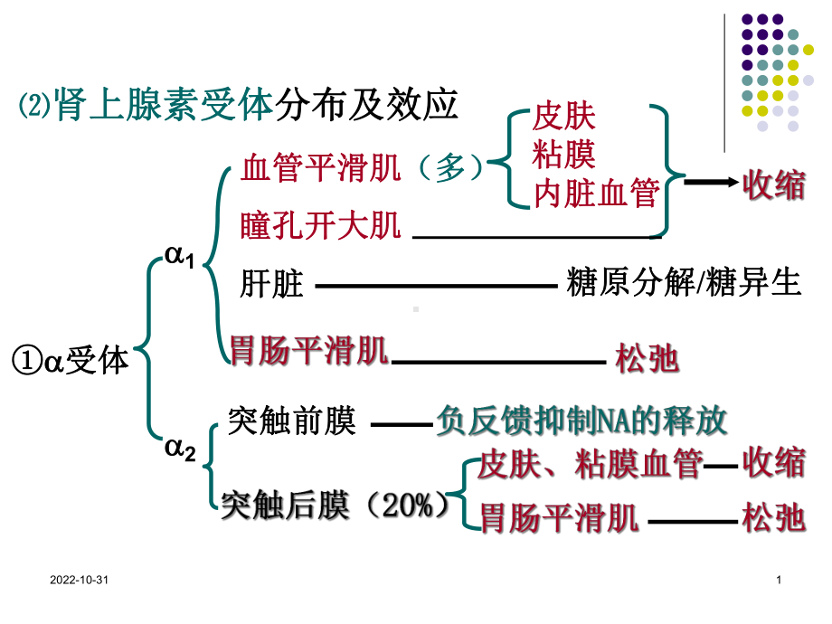 肾上腺素受体激动药课件-2.ppt_第1页