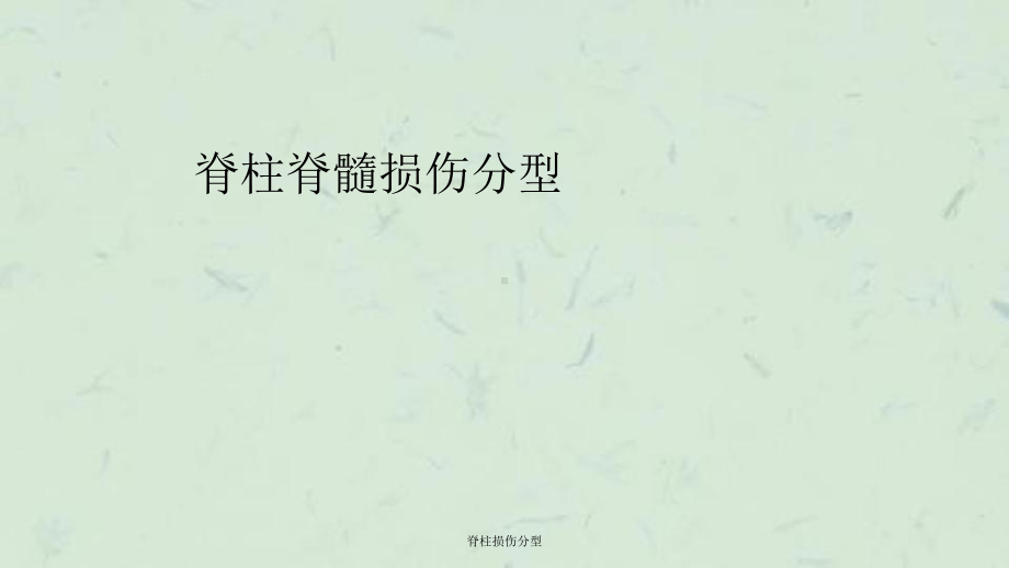 脊柱损伤分型课件.ppt_第1页