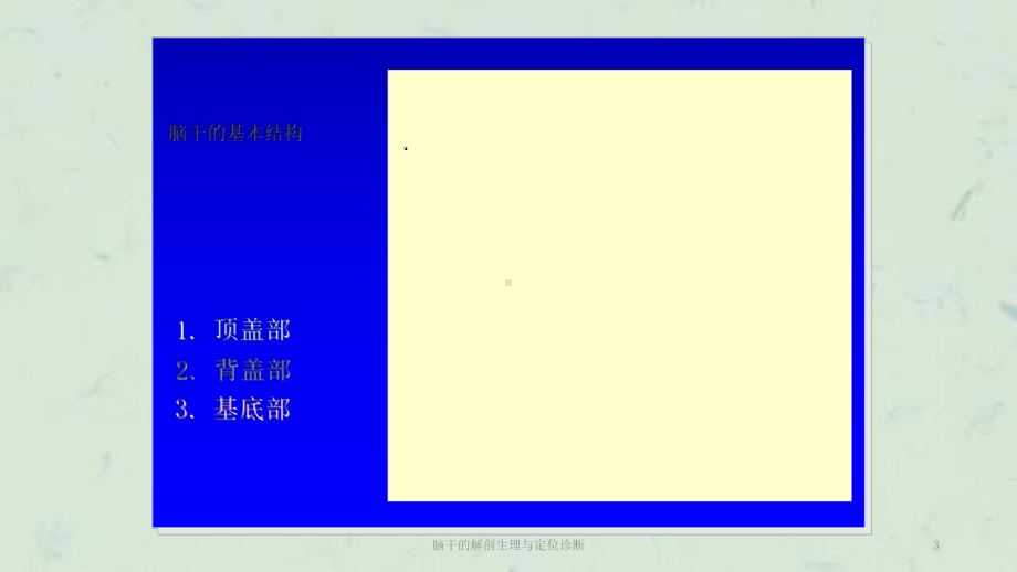 脑干的解剖生理与定位诊断课件.ppt_第3页