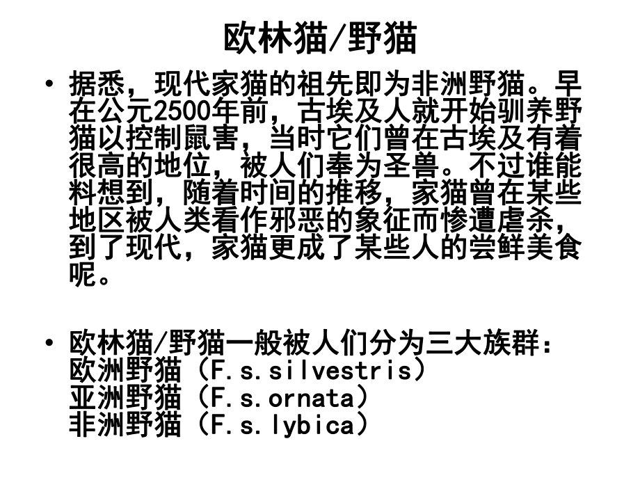 之五-小型猫科动物课件.ppt_第3页