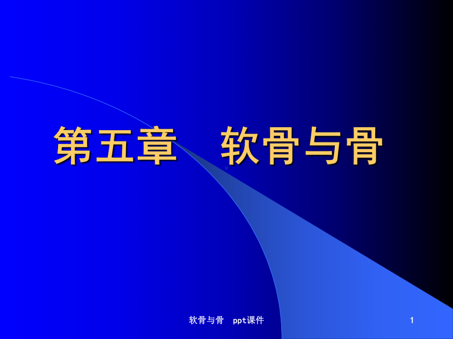 软骨与骨-课件.ppt_第1页