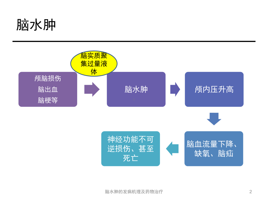 脑水肿的发病机理及药物治疗课件.pptx_第2页