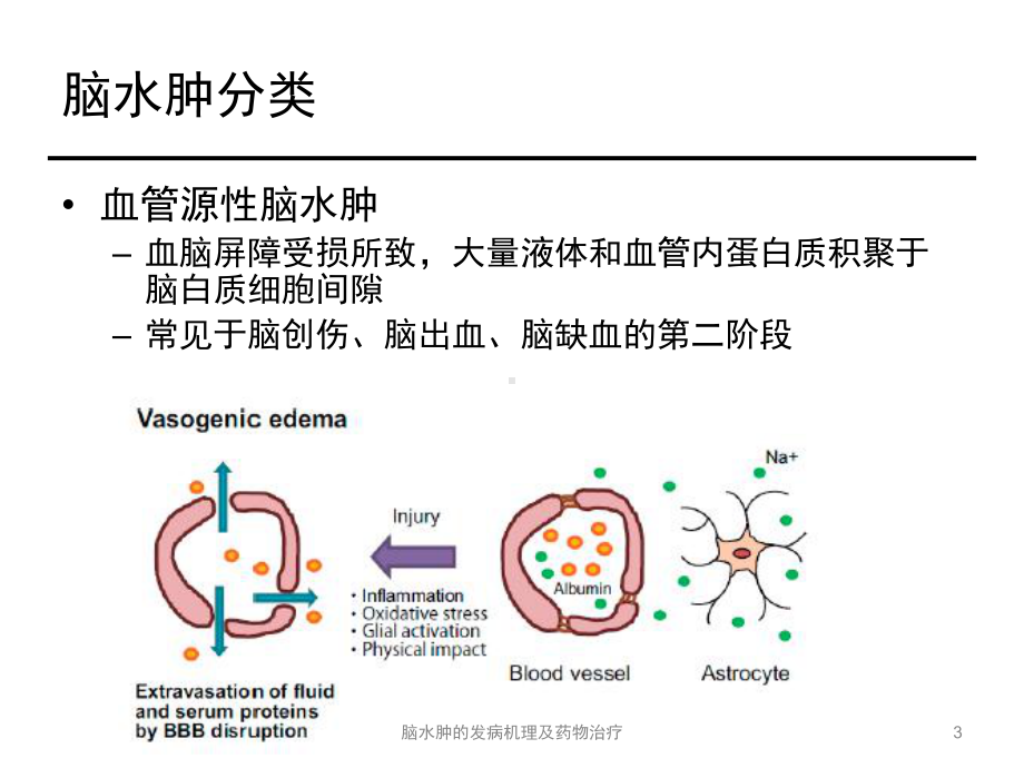 脑水肿的发病机理及药物治疗课件.pptx_第3页