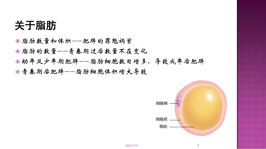 超声减脂原理市场应用课件.ppt_第3页