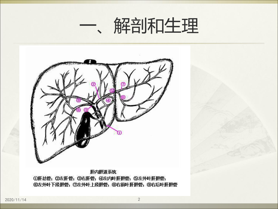 胆道感染及胆石症病人护理课件.ppt_第2页