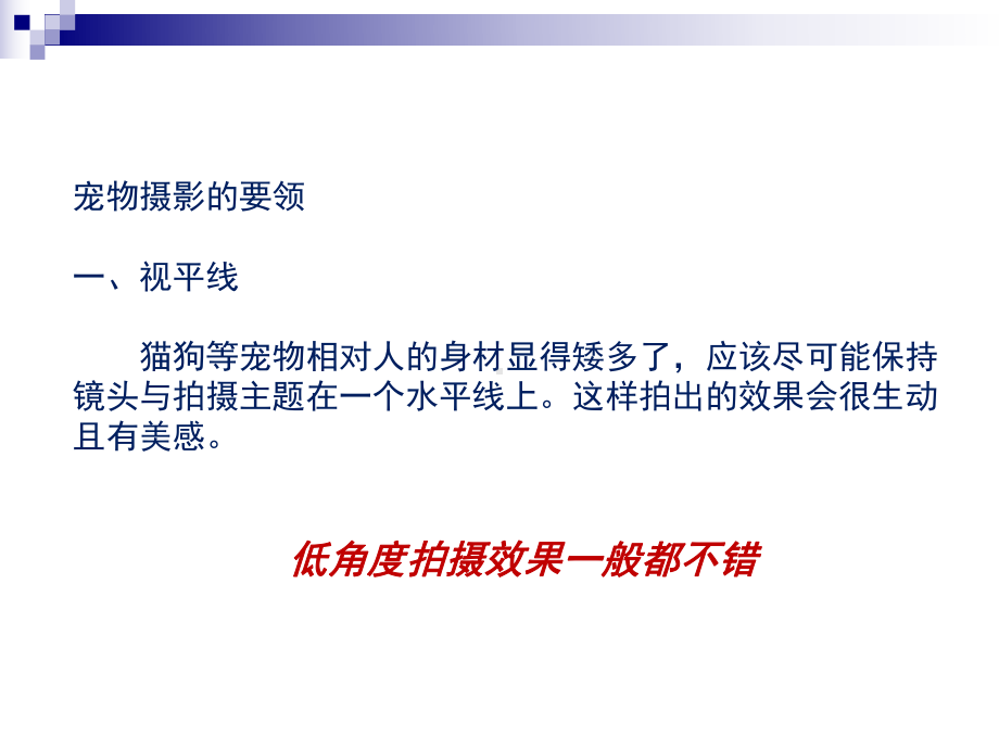 宠物摄影技巧课件.ppt_第3页