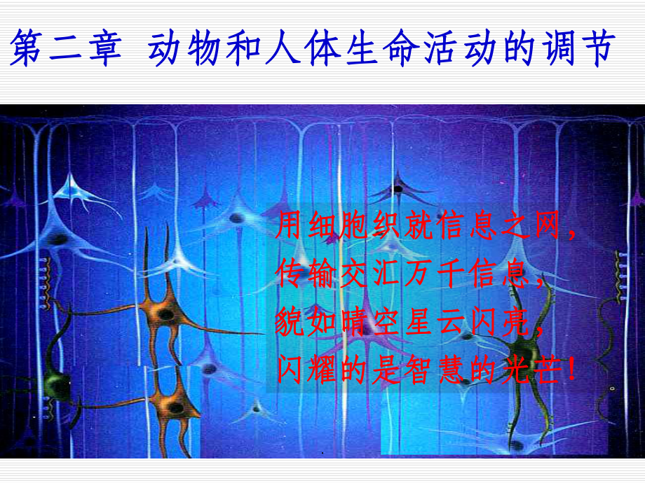 通过神经系统的调节-课件.ppt_第1页