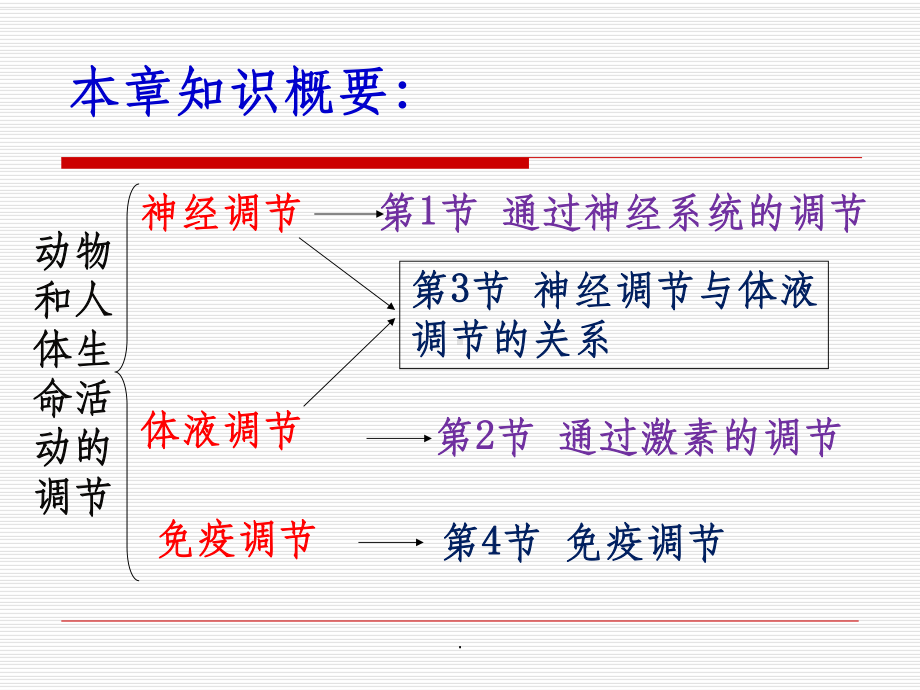 通过神经系统的调节-课件.ppt_第2页