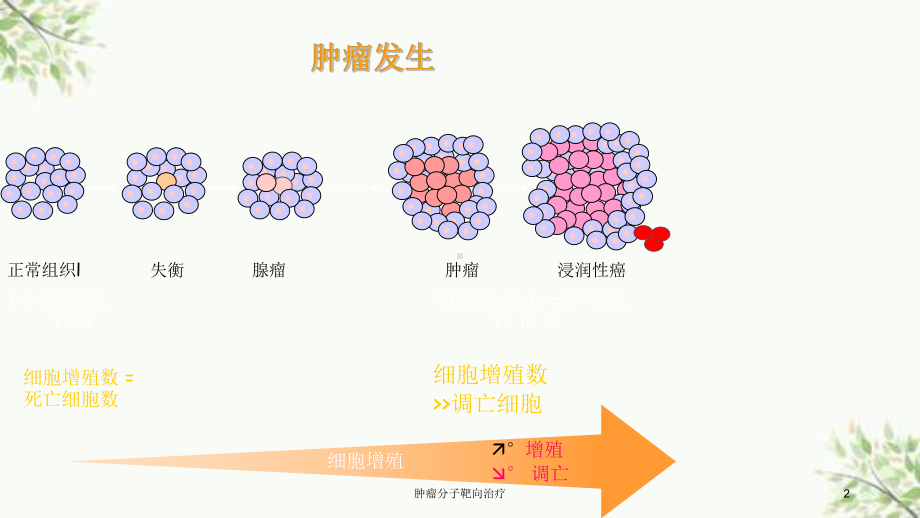 肿瘤分子靶向治疗课件.ppt_第2页