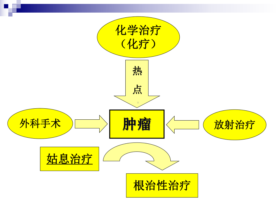 抗肿瘤药物毒性反应心得课件.ppt_第2页