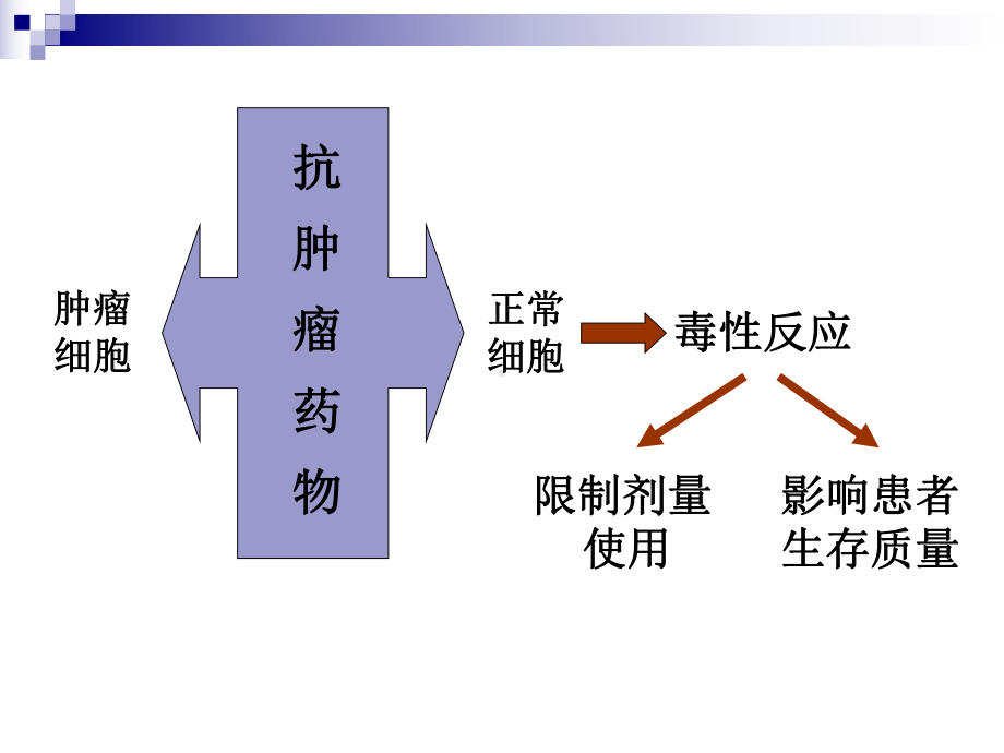 抗肿瘤药物毒性反应心得课件.ppt_第3页