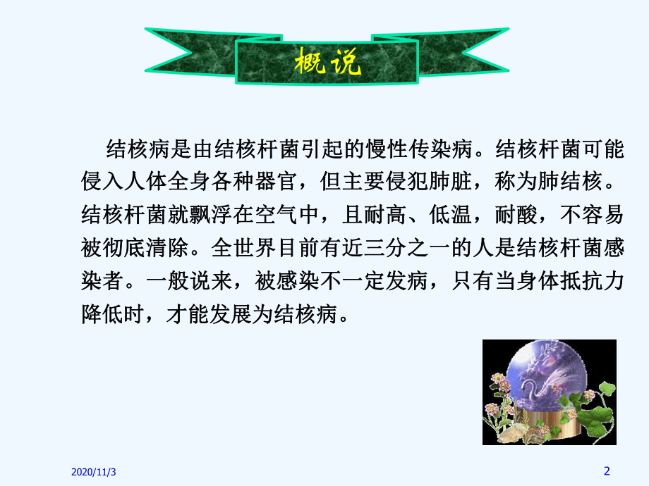 肺结核中药偏方课件.ppt_第2页