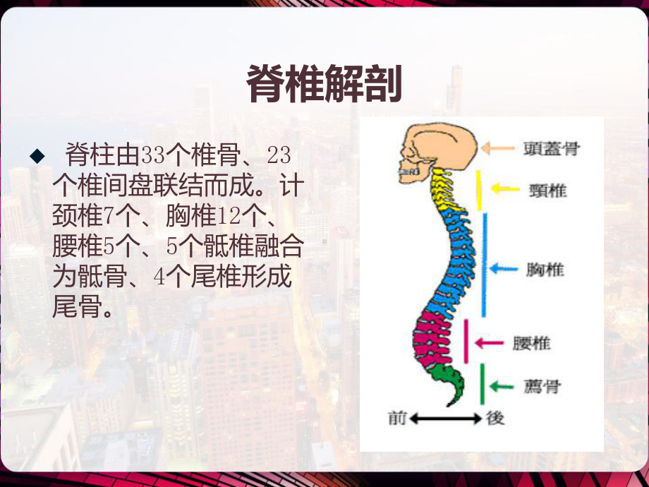 脊柱脊髓损伤的过去与现在-课件.pptx_第2页