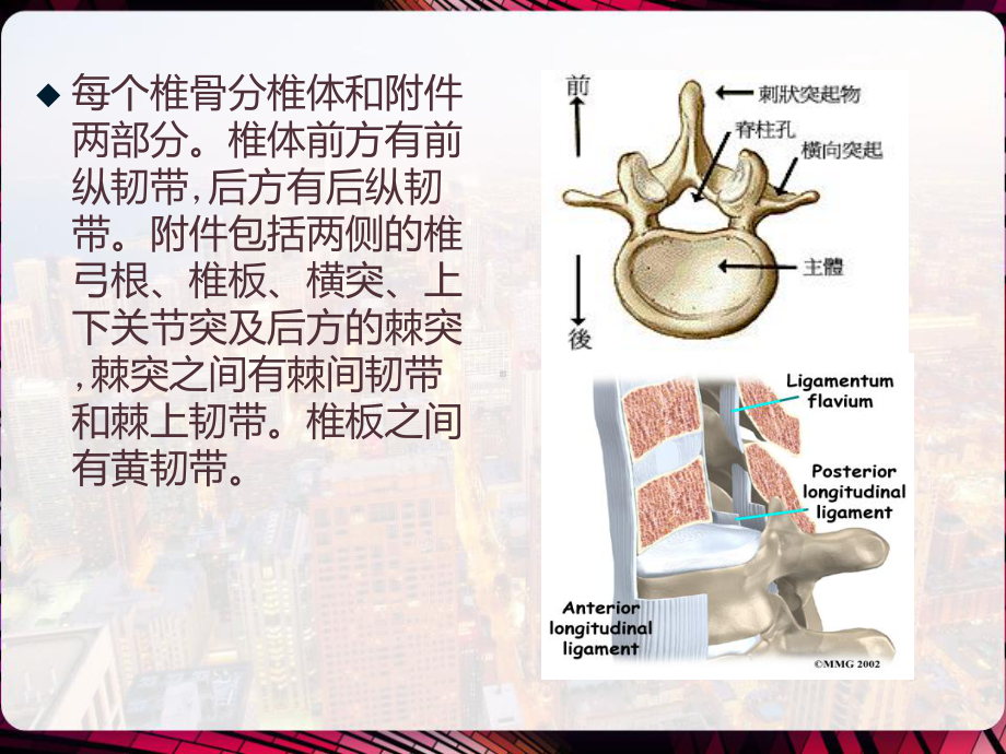 脊柱脊髓损伤的过去与现在-课件.pptx_第3页