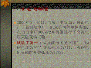 浏览-600MW汽轮发电机静止可控硅自并激励磁系统课件.ppt