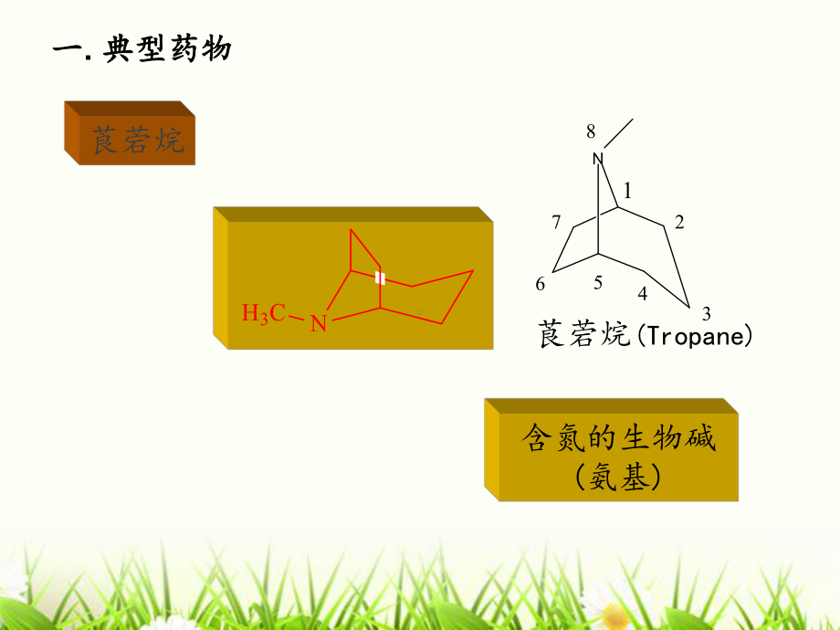 第13章-莨菪烷类抗胆碱药物的分析课件.ppt_第3页