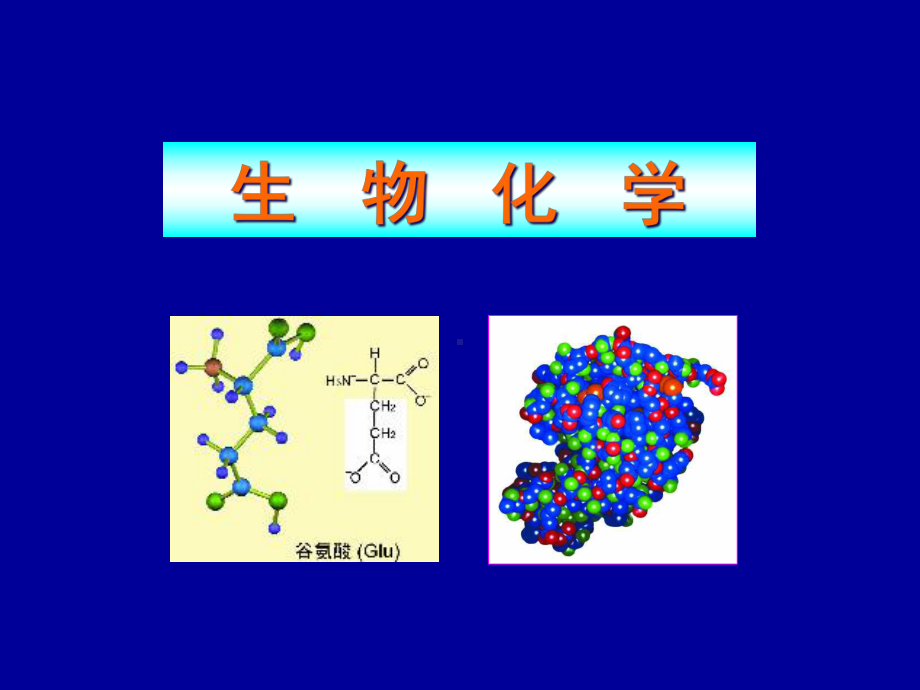 生物化学-糖-课件.ppt_第1页