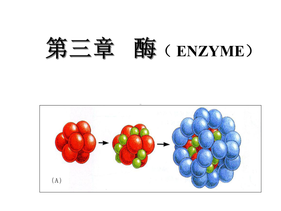 生物化学-第三章酶课件.ppt_第1页