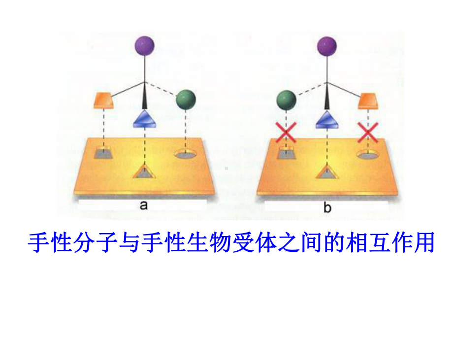 有机化学第三章立体化学-课件.ppt_第3页