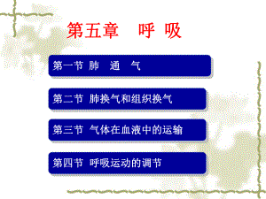 正常人体功能05呼吸feng课件.ppt