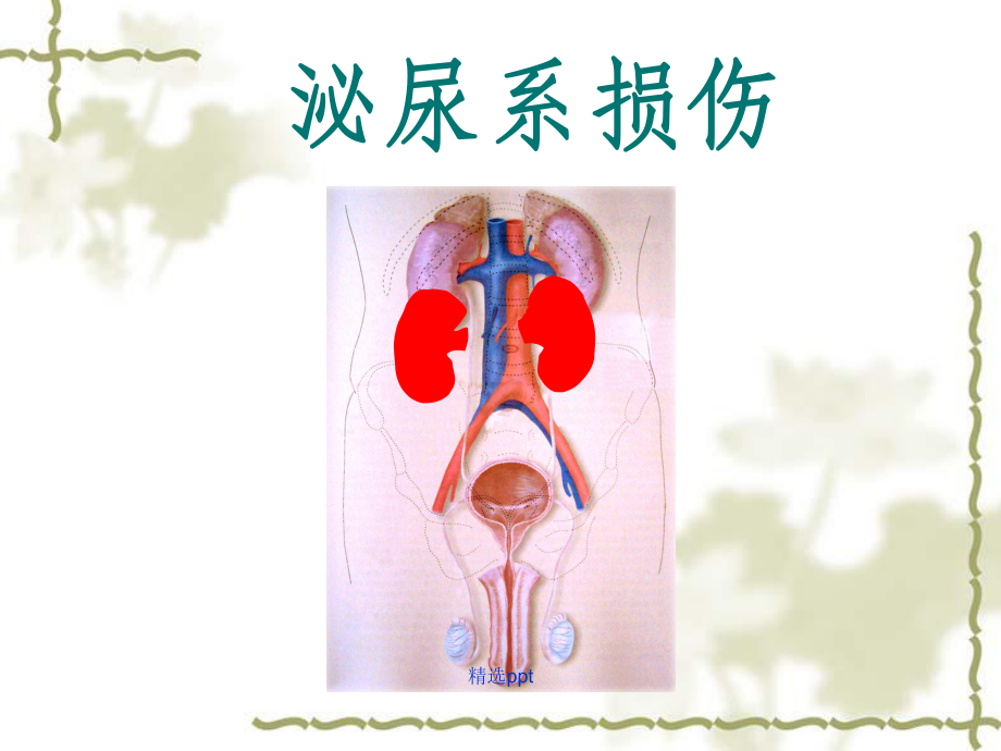 血尿病人的护理措施课件-2.ppt_第2页