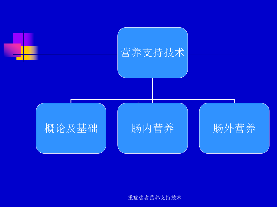 重症患者营养支持技术课件.ppt_第2页