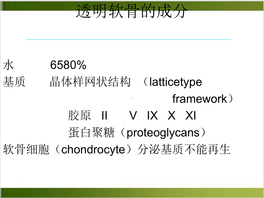 软骨损伤讲课培训课件.ppt_第3页