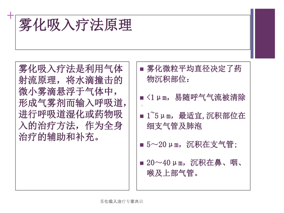 雾化吸入治疗专家共识培训课件.ppt_第3页