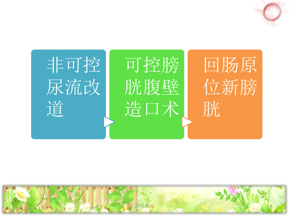 膀胱全切的护理(行业内容)课件.ppt_第3页