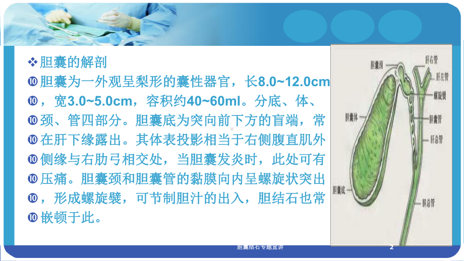 胆囊结石专题宣讲培训课件.ppt_第2页