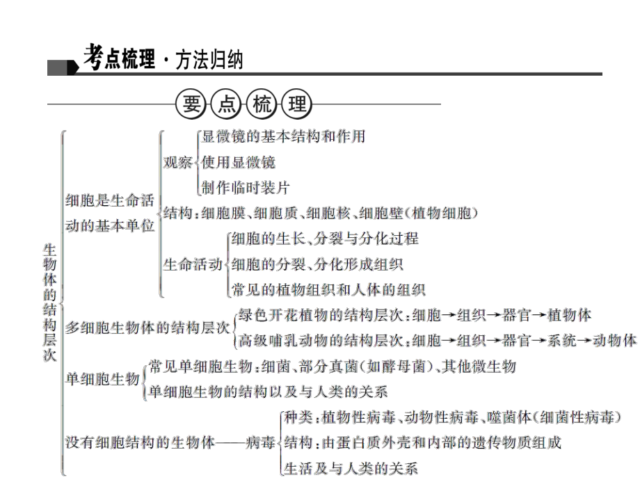 中考生物复习讲练：生物体的结构层次(人教版)全面版课件.ppt_第2页