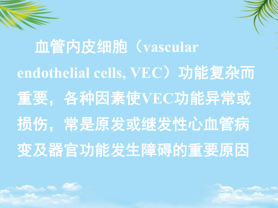 血管内皮细胞的病理生理学课件-2.ppt_第3页