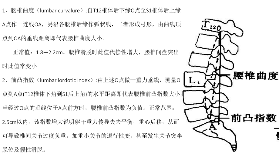 腰椎平片测量方法-课件.ppt_第2页