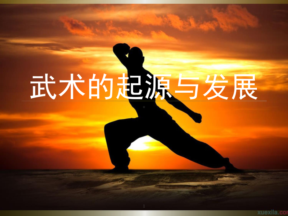 武术的起源与发展教学课件.ppt_第1页