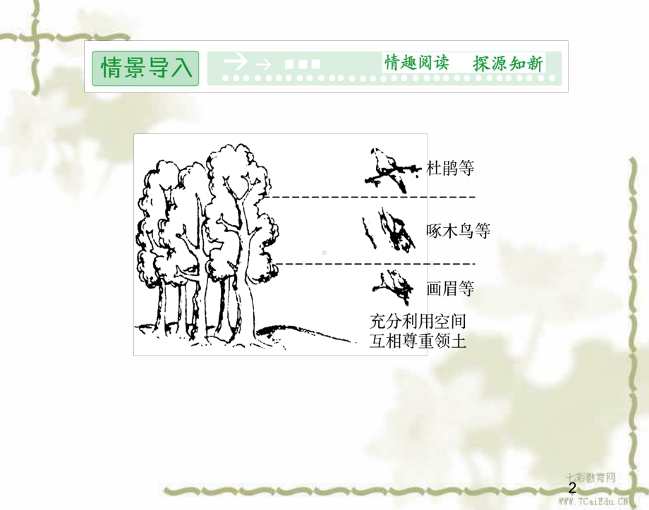 生物必修ⅲ人教新课标32生长素的生理作用课件.ppt_第2页