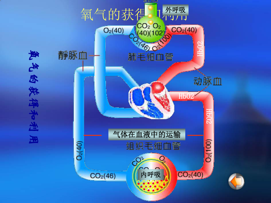 顽固性低氧血症的诊断与治疗课件.ppt_第3页