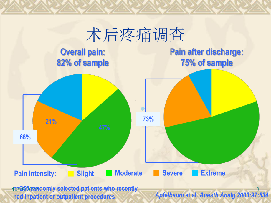 规范化疼痛治疗课件.ppt_第3页