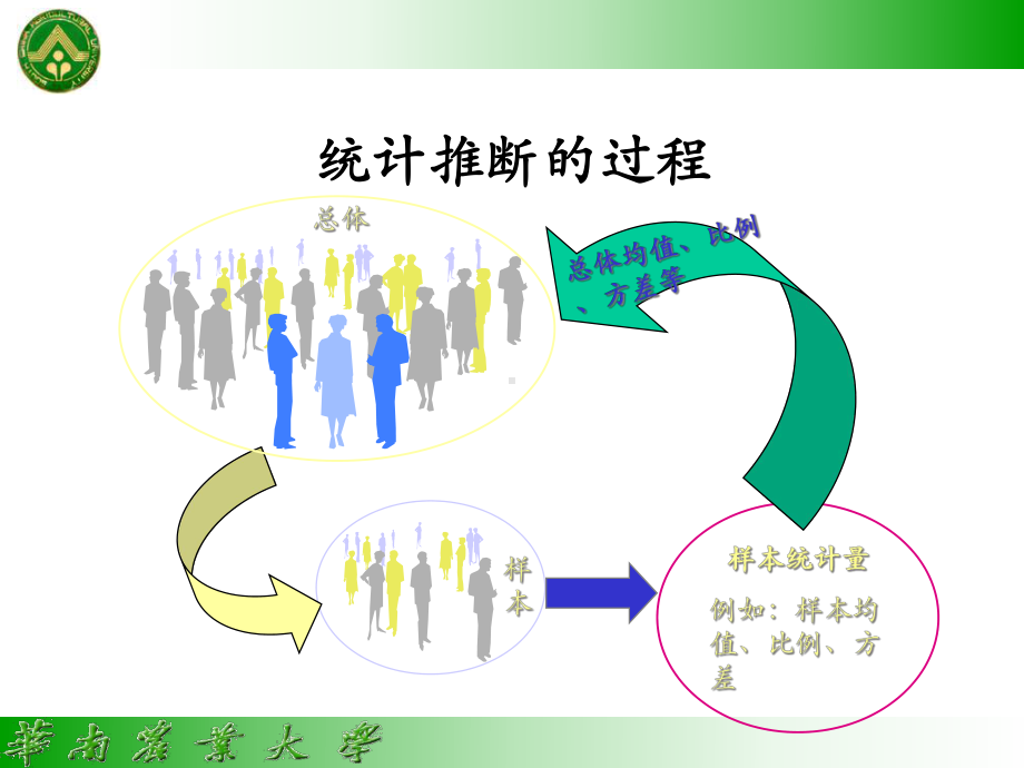 抽样分布与估计-课件.ppt_第2页