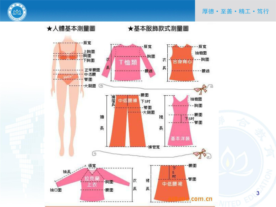 服装结构制图培训课件(-41张).ppt_第3页